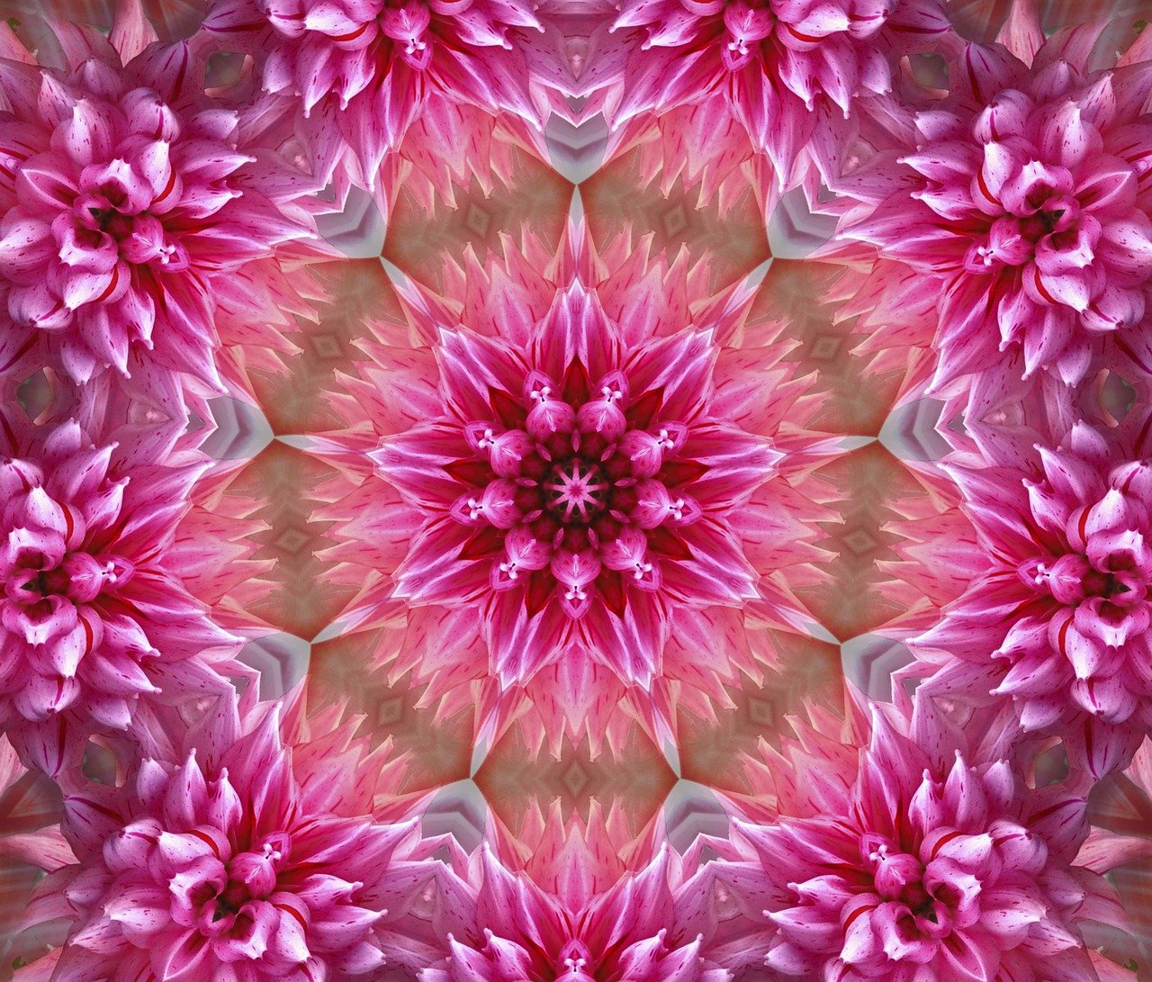flower, mandala, art-1543895.jpg